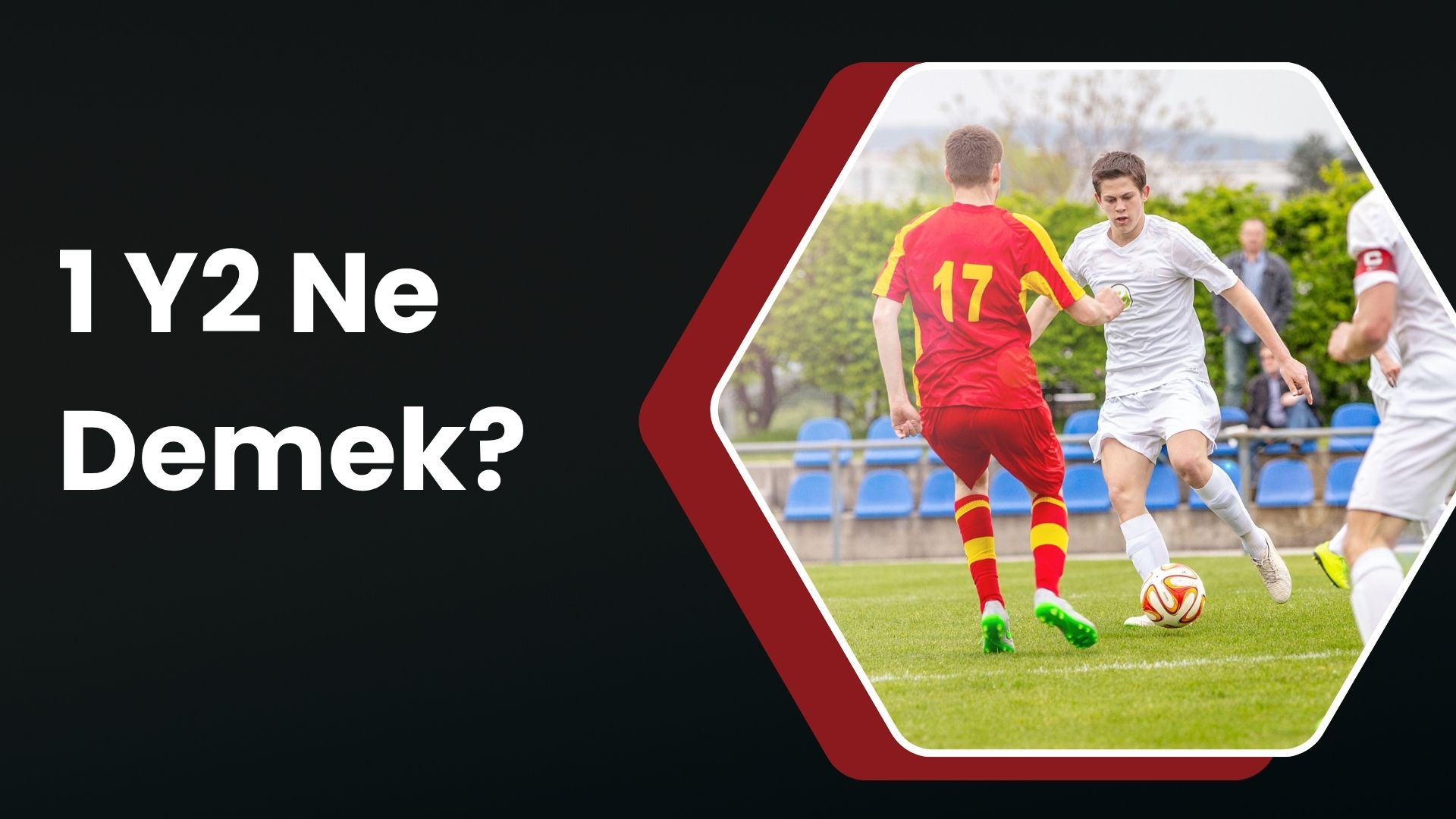 1 Y2 Ne Demek?